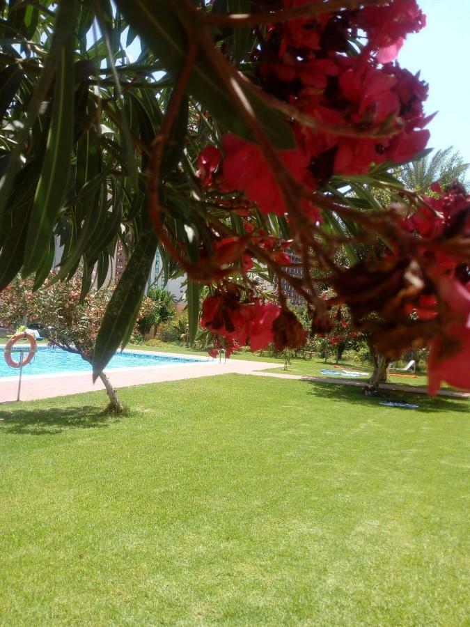 Studio Hannibal 1 Appartement Cala de Finestrat Buitenkant foto